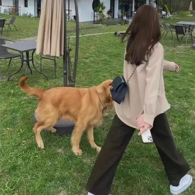 震耳欲聋